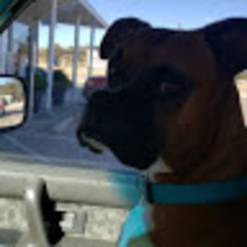 Meet your Posher, Angela